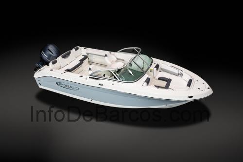 Robalo R207 Dual Console ficha técnica y opiniones